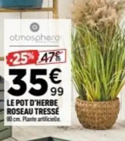 Centrakor Le pot d'herbe roseau tresse offre