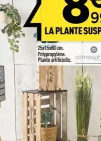 Centrakor La plante suspendue offre