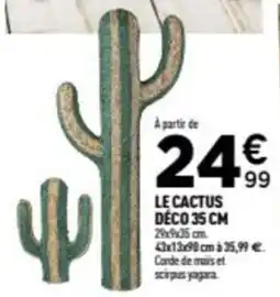 Centrakor Le cactus déco 35 cm offre
