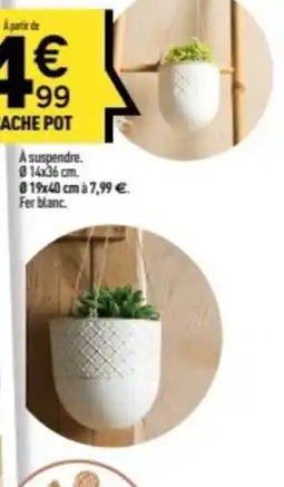 Centrakor Le cache pot offre