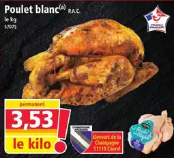 Norma Poulet blanca offre