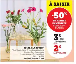 U Express Foire a la botte offre