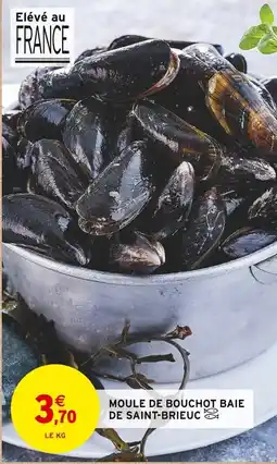 Intermarché Moule de bouchot baie de saint-brieuc offre