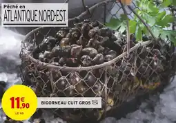 Intermarché Bigorneau cuit gros offre