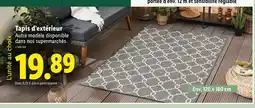 Lidl Tapis d'extérieur offre