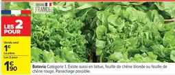 Carrefour Batavia offre