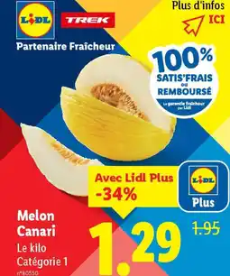 Lidl Melon Canari offre