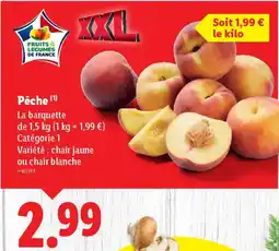 Lidl Pêche offre