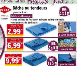 Norma COGEX Bâche ou tendeurs offre