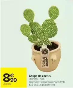 Cora x Carrefour Coupe de cactus offre