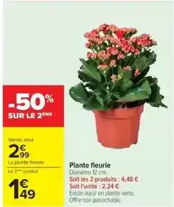 Cora x Carrefour Plante fleurie offre