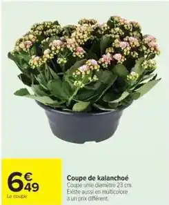 Cora x Carrefour Coupe de kalanchoé offre