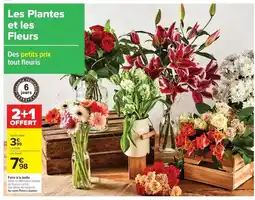 Cora x Carrefour Les plantes et les fleurs offre