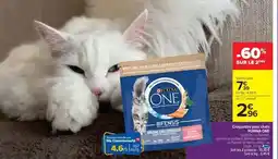 Cora x Carrefour Purina - crouches pour chiens offre