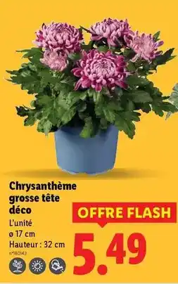 Lidl Chef select - porc effiloché offre