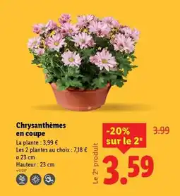 Lidl Livergy - polo homme regulat fit offre