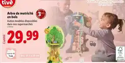 Lidl Playtive - arbre de morticito en bois offre