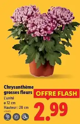 Lidl Playtive - jeu d'apprentissage en bois offre