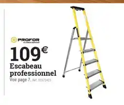 Espace emeraude Escabeau professionnel offre