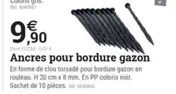 Espace emeraude Ancres pour bordure gazon offre
