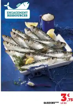 Hyper U Sardine offre