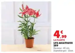 Hyper U Lys asiatique 3pp offre