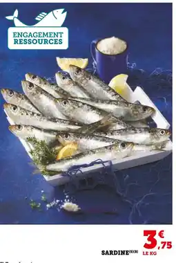 Super U SARDINE offre