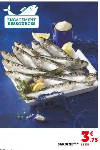 Super U SARDINE offre