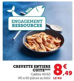Bi1 Crevette entiere cuite offre