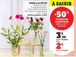 Bi1 Foire a la botte offre