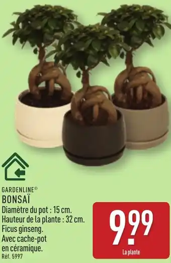 ALDI Gardenline bonsaï offre