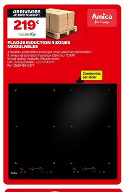 Brico Dépôt Plaque induction 4 zones modulables offre