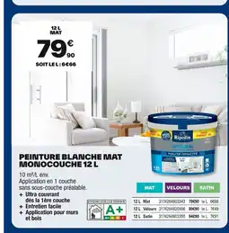 Brico Dépôt Peinture blanche mat monocouche offre