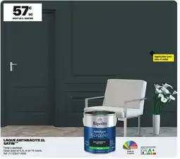 Brico Dépôt Laque anthracite offre
