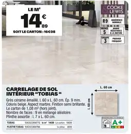 Brico Dépôt TOBIAS Carrelage de sol intérieur offre
