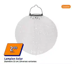 Action Lampion Solar offre
