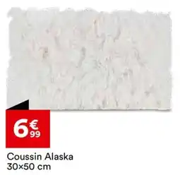 BUT Coussin Alaska offre