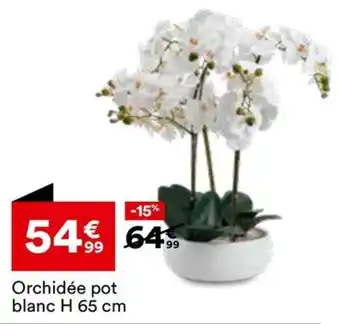 BUT Orchidée pot blanc offre
