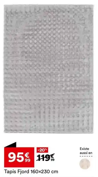 BUT Tapis Fjord offre