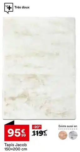 BUT Tapis Jacob offre