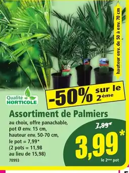 Norma Assortiment de Palmiers offre