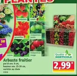 Norma Arbuste fruitier offre
