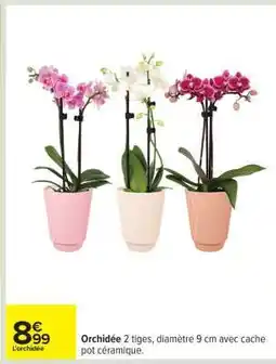 Carrefour Orchidée offre