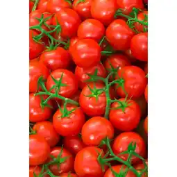 Carrefour Tomates grappe CARREFOUR BIO offre