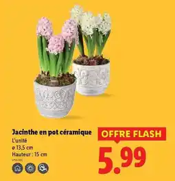 METRO Mocassins de sécurité stick offre