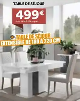 BUT Table de séjour offre