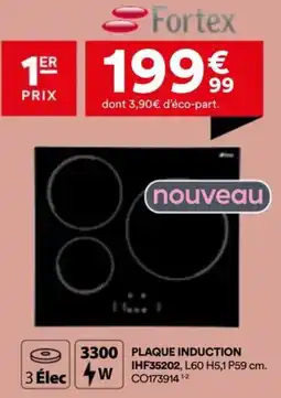 BUT Plaque induction IHF35202 offre