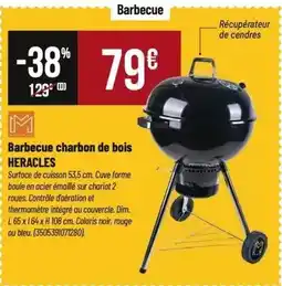 Tridôme Dim - barbecue charbon de bois offre