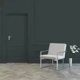 Brico Dépôt Ripolin - laque anthracite 2l satin offre