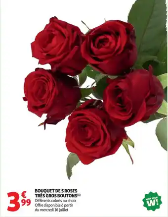 Auchan Supermarché Bouquet de 5 roses très gros boutons offre